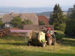 2011 Strohskulpturen Höchenschwand